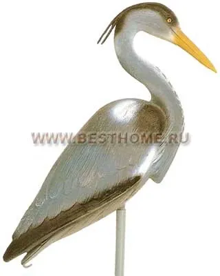 Зоосад біля ставка
