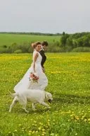 One day in may весілля юлии і виталия