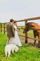 One day in may весілля юлии і виталия
