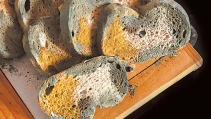 Небезпечна пліснява на продуктах - світ новин (можуть) Небезпечна пліснява на продуктах - світ новин