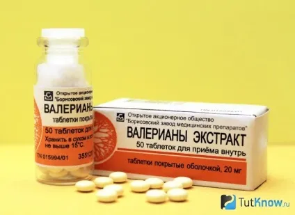 Опис, застосування і властивості валеріани лікарської (кілька крапель валеріани) Опис, застосування і властивості валеріани лікарської
