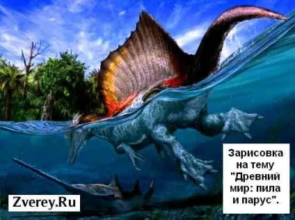 Опис, характеристики і цікаві факти про рибу-пилу (особини дрібнозуба пилорам) Опис, характеристики і цікаві факти про рибу-пилу