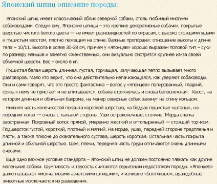 Опис породи собак японський шпіц (опис) Опис породи собак японський шпіц