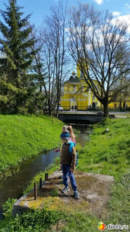 Навколишній світ, або як ми проводимо уроки щоденники (Таня Петрівна пише) Навколишній світ, або як ми проводимо уроки щоденники