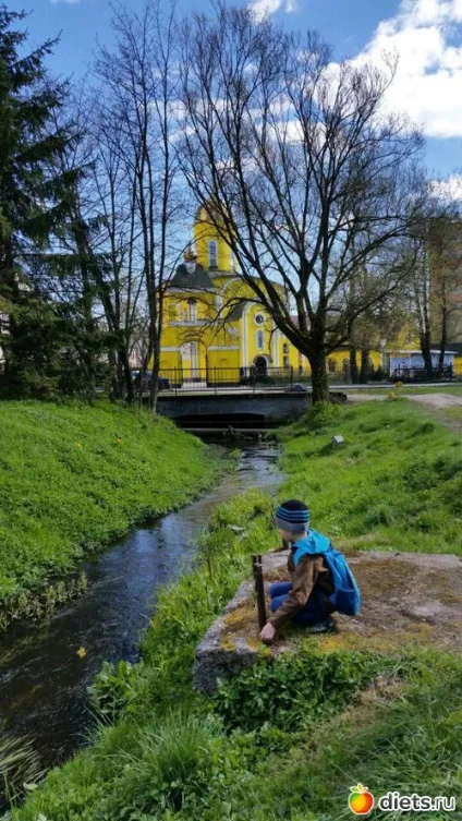 Навколишній світ, або як ми проводимо уроки щоденники (азарт інтерес навчання буде) Навколишній світ, або як ми проводимо уроки щоденники