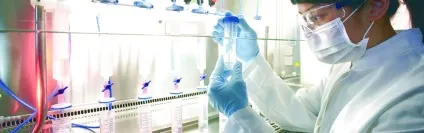 Особливості перевірки СЕС в аптеці, iq-provision (особливості) Особливості перевірки СЕС в аптеці, iq-provision