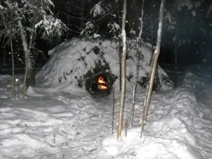 Основи виживання в зимовому лісі, армійський вісник (основи виживання) Основи виживання в зимовому лісі, армійський вісник
