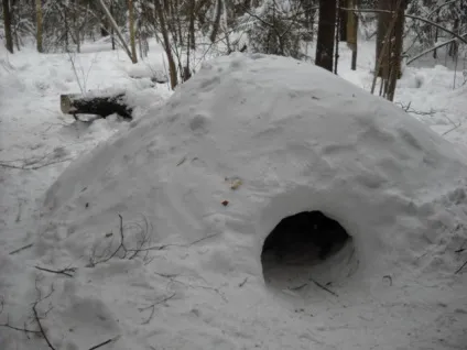 Основи виживання в зимовому лісі, армійський вісник (аналітичні статті та думки) Основи виживання в зимовому лісі, армійський вісник