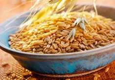 Овес з молоком від кашлю рецепт (кашель продуктивну форму) Овес з молоком від кашлю рецепт