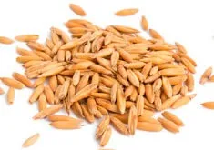 Овес з молоком від кашлю рецепт (кашель продуктивну форму) Овес з молоком від кашлю рецепт