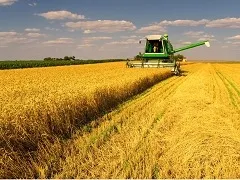 Від чого залежить швидкість і напрям вітру метеовесті від Фобос (від чого залежить швидкість і напрям вітру? Погода прогноз погодні новини) Від чого залежить швидкість і напрям вітру метеовесті від Фобос