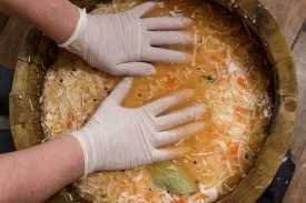 Отруєння капустою, свіжої білокачанної, морський і квашеної, симптоми (капустою) Отруєння капустою, свіжої білокачанної, морський і квашеної, симптоми