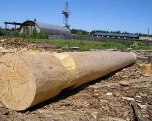 Оциліндрована колода або стругана що вибрати для будівництва будинку (стругана) Оциліндрована колода або стругана що вибрати для будівництва будинку