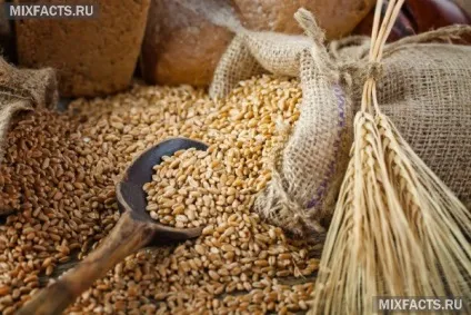 Овес з молоком від кашлю (рецепти) (овес з молоком від кашлю) Овес з молоком від кашлю (рецепти)