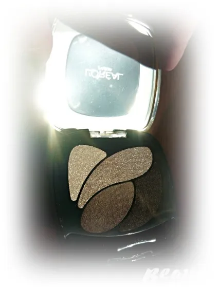 Відгуки про тінях для повік l`oreal color riche quadro (тіні для повік) Відгуки про тінях для повік l`oreal color riche quadro
