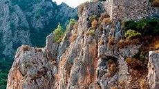 Павло Кочкін призначення