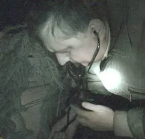 бджоли взимку