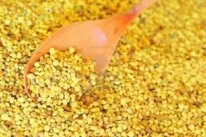 Пилок бджолиний застосування при різних захворюваннях (Застосування бджолиного пилку) Пилок бджолиний застосування при різних захворюваннях