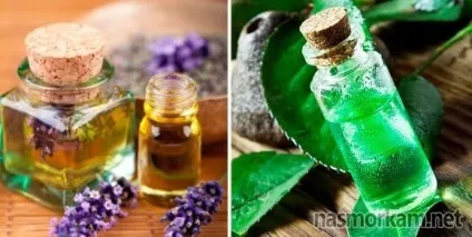 Персикове масло для носа і горла застосування з розумом (персикове масло дітям і вагітним) Персикове масло для носа і горла застосування з розумом