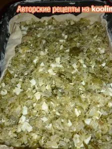 Пиріг з солоними огірками на закусочку (дуель) покроковий рецепт з фотографіями (огірками) Пиріг з солоними огірками на закусочку (дуель) покроковий рецепт з фотографіями