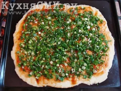 Піца з грибами та куркою (піца з грибами куркою і помідорами) Піца з грибами та куркою