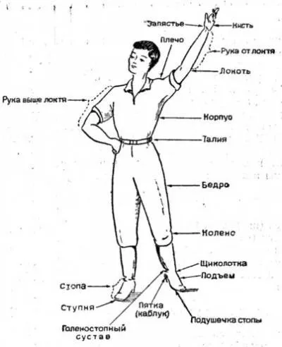 Пірует інфо - інформаційний портал для артистів (коліні Нога може) Пірует інфо - інформаційний портал для артистів