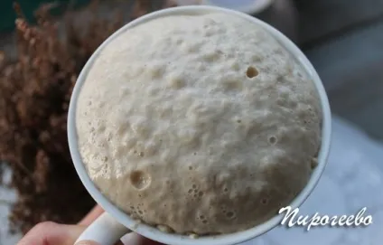 Піца - маргарита - в домашніх умовах рецепт в духовці (рецепт) Піца - маргарита - в домашніх умовах рецепт в духовці