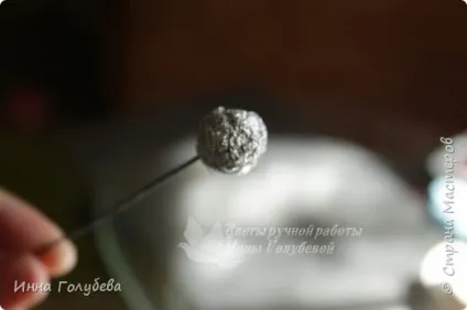Півонія з