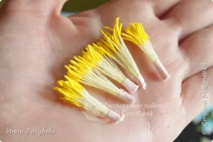 Півонія з