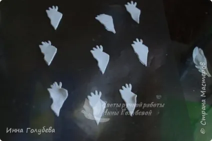 Півонія з