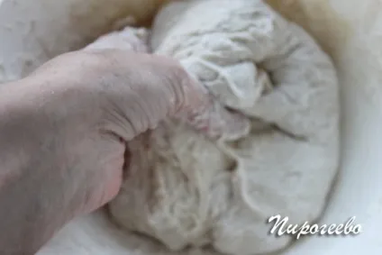 Піца - маргарита - в домашніх умовах рецепт в духовці (духовці) Піца - маргарита - в домашніх умовах рецепт в духовці