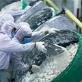 Чому Китай не буде правити світом ( «Мова йде великий угоді) Чому Китай не буде правити світом
