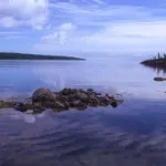 Плетені пастка для риби (вершачи), записки вижівальщіка (риби) Плетені пастка для риби (вершачи), записки вижівальщіка