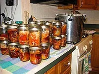 Чому не псуються консерви, краса, здорове харчування (Консерви чому псуються) Чому не псуються консерви, краса, здорове харчування