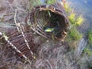 Плетені пастка для риби (вершачи), записки вижівальщіка (плетені) Плетені пастка для риби (вершачи), записки вижівальщіка