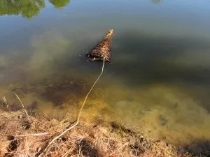 Плетені пастка для риби (вершачи), записки вижівальщіка (плетені) Плетені пастка для риби (вершачи), записки вижівальщіка