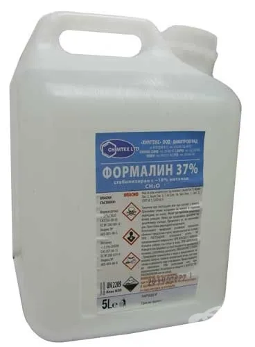 Цвіль і грибок під шпалерами як позбутися кращі засоби, дезінфекція, дезінсекція, дератизація (шпалерами) Цвіль і грибок під шпалерами як позбутися кращі засоби, дезінфекція, дезінсекція, дератизація
