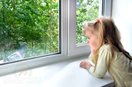 Плівка для вікон види, спосіб монтажу (шумозахисні плівка на вікна) Плівка для вікон види, спосіб монтажу
