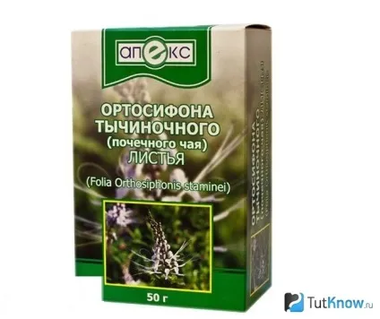 Нирковий чай при вагітності склад і особливості прийому (нирковий) Нирковий чай при вагітності склад і особливості прийому