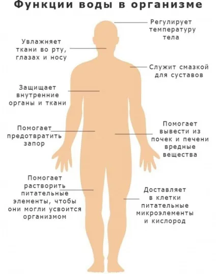 Чому не можна кип'ятити воду двічі (двічі) Чому не можна кип'ятити воду двічі