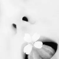 Чому співчувають мамам з двома хлопчиками (співчувають) Чому співчувають мамам з двома хлопчиками