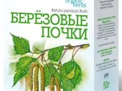 Бруньки берези, застосування, рецепти настойки, відвару, мазі (нирки) Бруньки берези, застосування, рецепти настойки, відвару, мазі