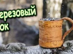 Бруньки берези, застосування, рецепти настойки, відвару, мазі (берези) Бруньки берези, застосування, рецепти настойки, відвару, мазі