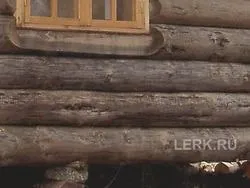 почорніння деревини