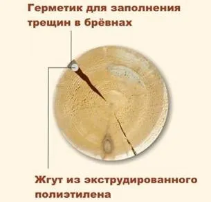 Чому тріскається колоду і як боротися з тріщинами (як боротися) Чому тріскається колоду і як боротися з тріщинами