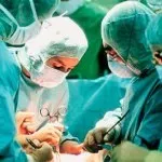 Корисна зараза чи можна поправитися від соняшникового насіння (зараза) Корисна зараза чи можна поправитися від соняшникового насіння