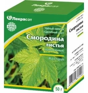 Корисні властивості листя смородини і протипоказання (властивості) Корисні властивості листя смородини і протипоказання