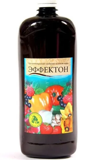 Підживлення кабачків у відкритому грунті народними засобами, сечовиною (Настій цибулиння) Підживлення кабачків у відкритому грунті народними засобами, сечовиною
