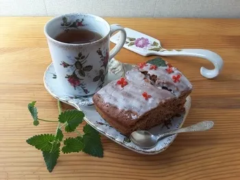 Корисні властивості граната, кісточок і шкірки (лікування настоєм кірок граната) Корисні властивості граната, кісточок і шкірки
