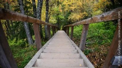 Поїздка на соловецькі острови самостійно (острова) Поїздка на соловецькі острови самостійно